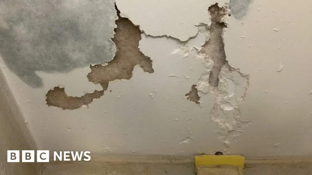 Insulation scandal: Ministers admit 30,000 homes botched under ECO4 and GBIS